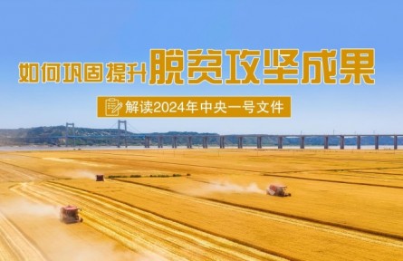 專家快問(wèn)快答：如何鞏固提升脫貧攻堅(jiān)成果？