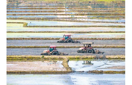 抓好春管春耕，再迎一個豐收年