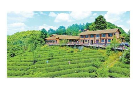 “中國的鄉(xiāng)村文化活動越來越豐富、越來越精彩”