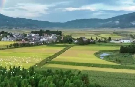 好生態(tài)如何變好產(chǎn)品？好產(chǎn)品怎么賣出好價錢？