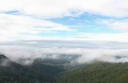 云南：“產(chǎn)業(yè)化 規(guī)?；?標(biāo)準(zhǔn)化 品牌化”推動(dòng)云茶產(chǎn)業(yè)高質(zhì)量發(fā)展