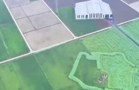 【在希望的田野上】各地多舉措推進糧食穩(wěn)產增產