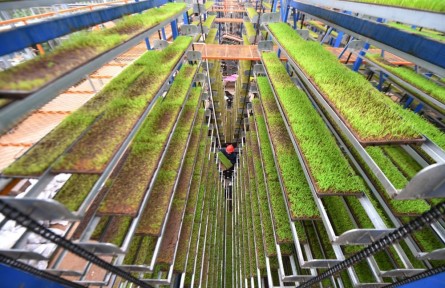 2024春天田野里的新故事——各地高質量推進春季農業(yè)生產