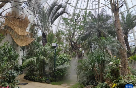 成都世園會：“神奇植物”在哪里？