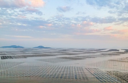 全鏈深耕“藍(lán)色糧倉”，豐富“中國飯碗”