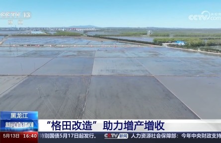 春播生產有亮點 “格田改造”助力增產增收