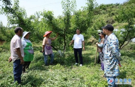 胡正明：丹心書寫“耕耘志”，麻山深處“種樹人”