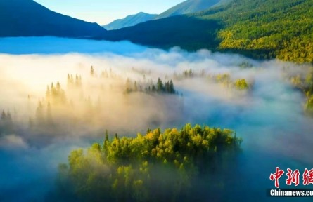 新疆阿勒泰：從夏牧場出發(fā)，探尋北疆之北的人間仙境