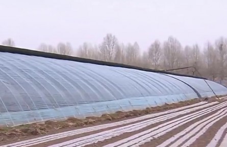 青海：新型農業(yè)經(jīng)營主體助力農業(yè)高質量發(fā)展