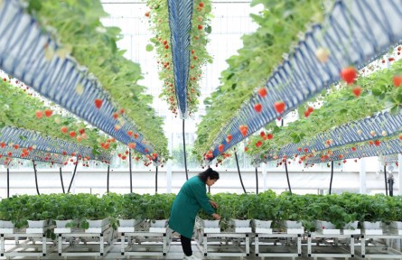 管“飽”也管“好”，大食物觀有什么講究？