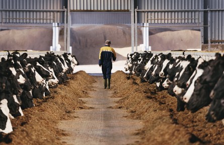 科技名詞|采食量 average daily feed intake；ADFI