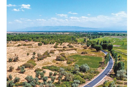 推進(jìn)科學(xué)化、規(guī)?；紊场覈?guó)十余年治理沙化土地超三億畝