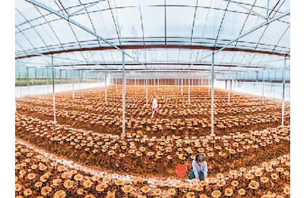 生態(tài)文明視角下的文化和自然遺產(chǎn)保護(hù)