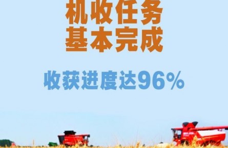 端牢飯碗！全國“三夏”小麥機收任務(wù)基本完成