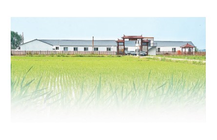 在吉林，105家科技小院正為鄉(xiāng)村振興助力——走進黑土地深處