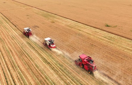 智能農(nóng)機(jī)、“鏈”式服務(wù)、節(jié)水抗旱 看看今年“三夏”生產(chǎn)的新變化