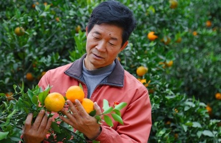 駐村最后一天，王應生回頭“三看”