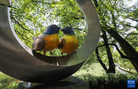 護(hù)鳥(niǎo)興旅，端穩(wěn)“生態(tài)碗”