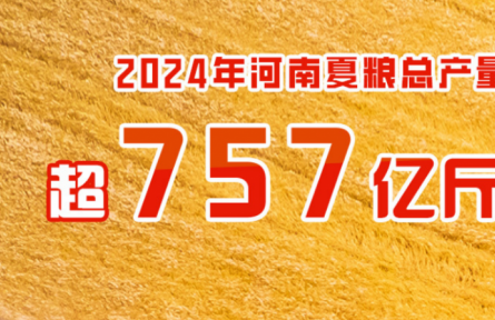 2024年河南夏糧總產量超757億斤 實現(xiàn)增產豐收