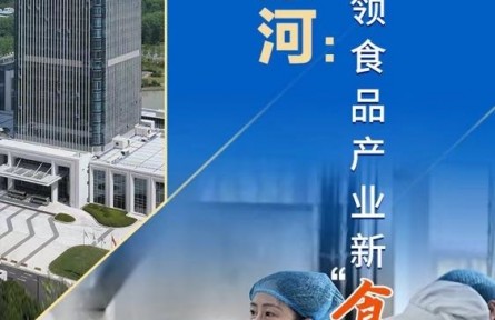 河南漯河：引領食品產業(yè)新“食”尚