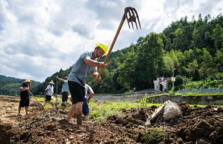 為何上漲？何時(shí)回穩(wěn)？——透視當(dāng)前蔬菜價(jià)格走勢(shì)