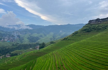 不挖金也能淘到“真金”，大寨村用“一田生五金”
