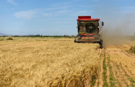 中國(guó)人民銀行：二季度涉農(nóng)、普惠金融貸款持續(xù)增長(zhǎng)
