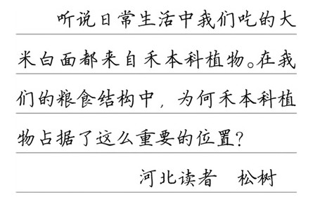 科普|主食為何大多來(lái)自禾本科植物？