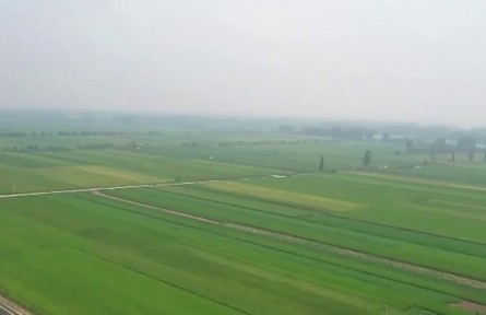 新一輪糧食產(chǎn)能提升行動拓展增產(chǎn)空間