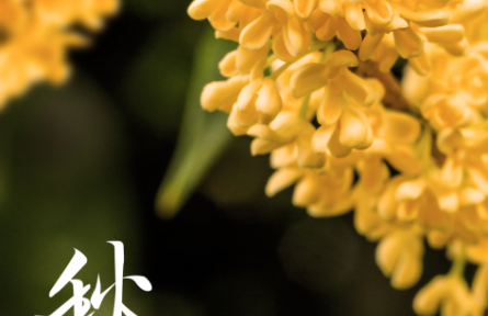 當(dāng)秋分遇上豐收節(jié)，又是一年好“豐”景