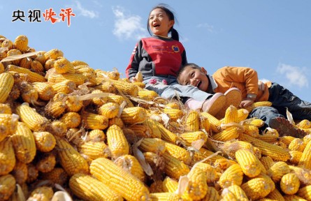 央視快評：把鄉(xiāng)村全面振興的美好藍圖變?yōu)楝F(xiàn)實