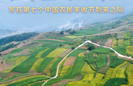 收獲，在希望的田野上——寫在第七個(gè)中國(guó)農(nóng)民豐收節(jié)到來之際