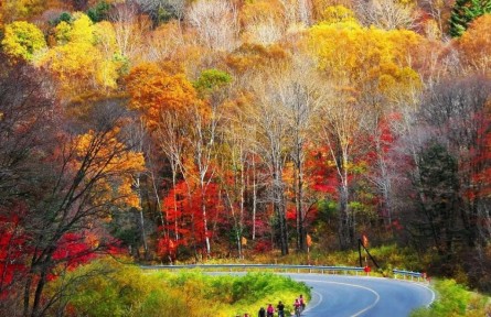 長白秘境，吉線331！中國國家地理考察傳播活動啟動！