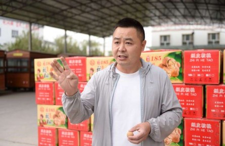 把小核桃做成產業(yè)鏈，創(chuàng)業(yè)青年在新疆農村找到“第二故鄉(xiāng)”