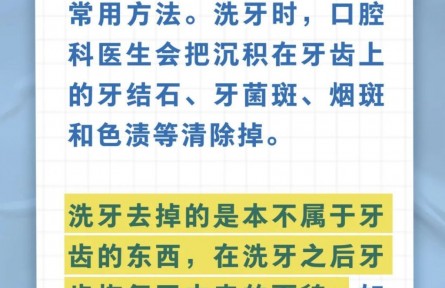 辟謠|洗牙能讓牙齒變白是真的嗎？