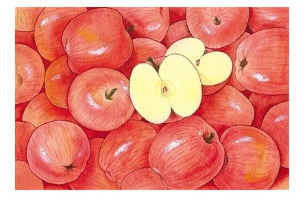 秋季蘋果正當(dāng)時(shí) 聽說熟著吃好處更多？