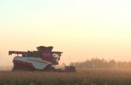 從“戈壁灘”到“米糧川” “糧”為端牢中國飯碗貢獻(xiàn)兵團力量