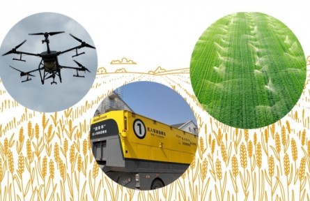 世界糧食日：糧食安全如何實現(xiàn)？新農(nóng)人、專家、倉管員三重身份體驗