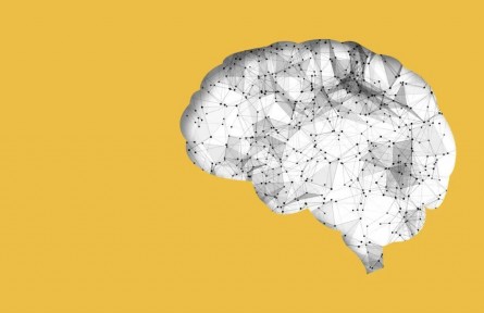 辟謠|腦袋大的孩子，一定聰明？