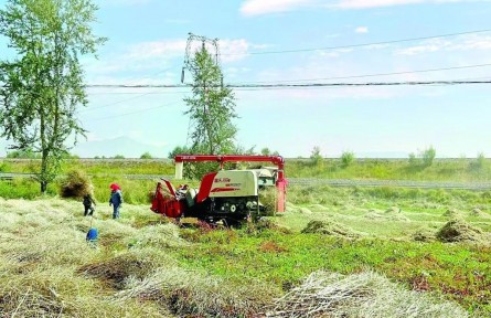 青海：農(nóng)牧業(yè)發(fā)展穩(wěn)中有增、勢頭良好