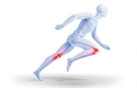 科技名詞|生物摩擦學(xué) biotribology