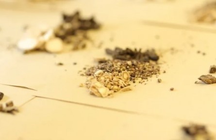 冬令進(jìn)補(bǔ)，怎么補(bǔ)你知道嗎？