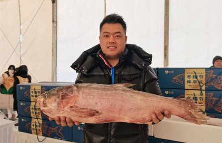 黑龍江：冰城冷水魚(yú)以質(zhì)領(lǐng)“鮮”，成冰雪季餐桌一道“大菜”