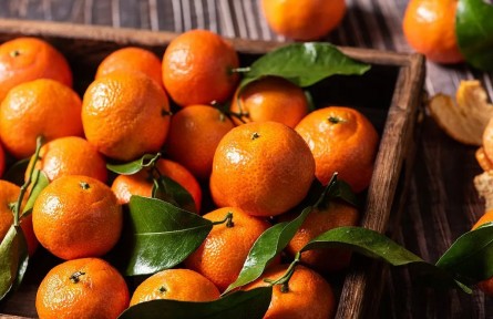 辟謠|砂糖橘致癌？柑橘不能吃了？別信謠言