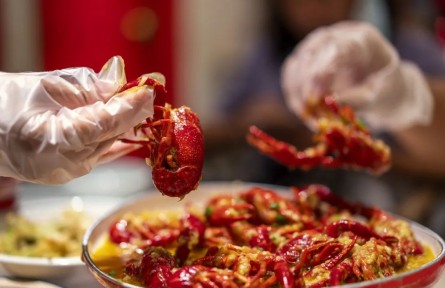 辟謠|這類保鮮膜使用不當，或有毒有害！如何挑選？