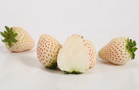 這些關(guān)于草莓的錯(cuò)誤說法，你信過嗎？