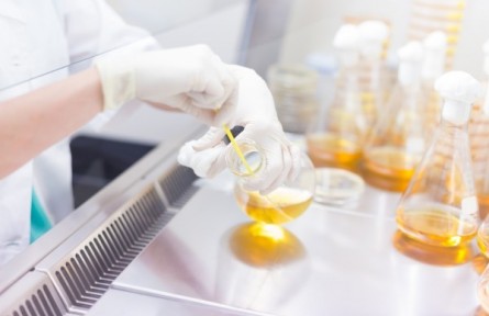 在生命科學(xué)研究中，人工智能發(fā)揮哪些作用？