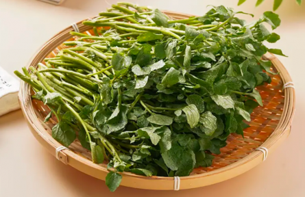 它被國外評為最具營養(yǎng)活力的蔬菜，但我打賭90%的人沒吃過