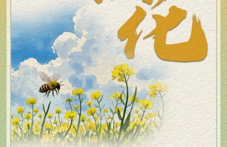 油菜花哪里賞？快收下這份油菜花賞花氣象指南！