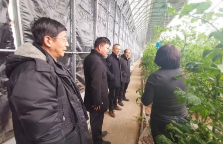 寧夏農(nóng)科院17支科技服務(wù)團(tuán)赴一線(xiàn)解難題